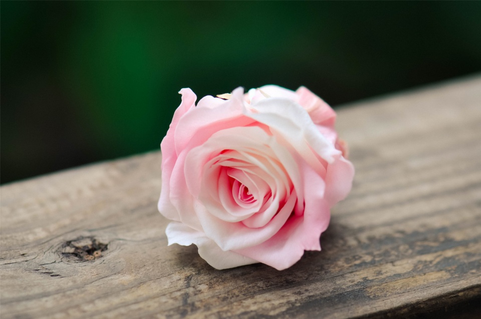 爱你的男人微信上都有这几个特点,一个深爱你的男人微信会说什么