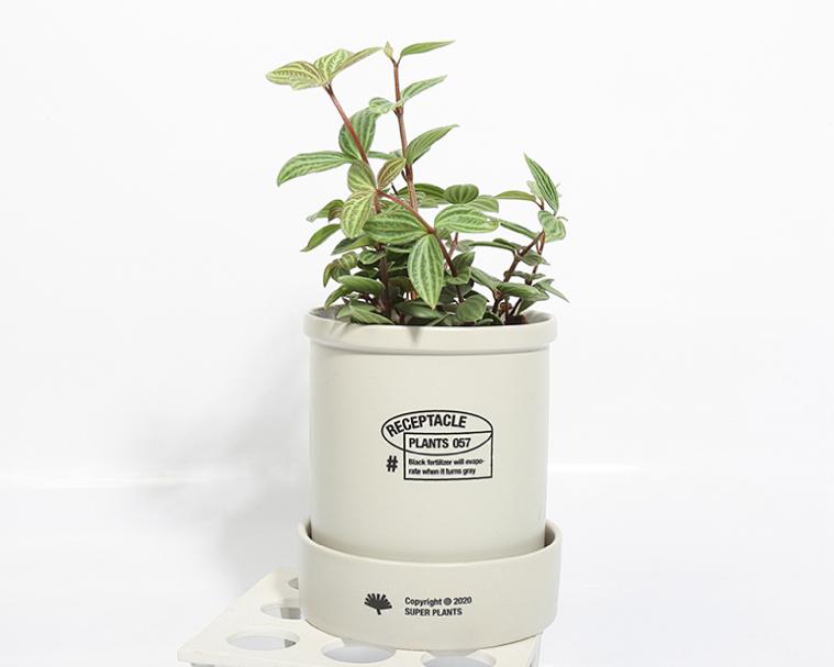 教师节送老师什么样高端的贺卡,教师节到了送什么贺卡比较好呢