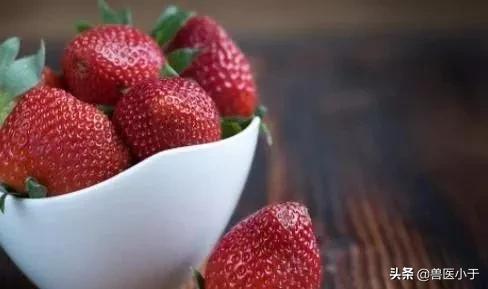 适合农村的创业100个好项目,想在农村老家创业