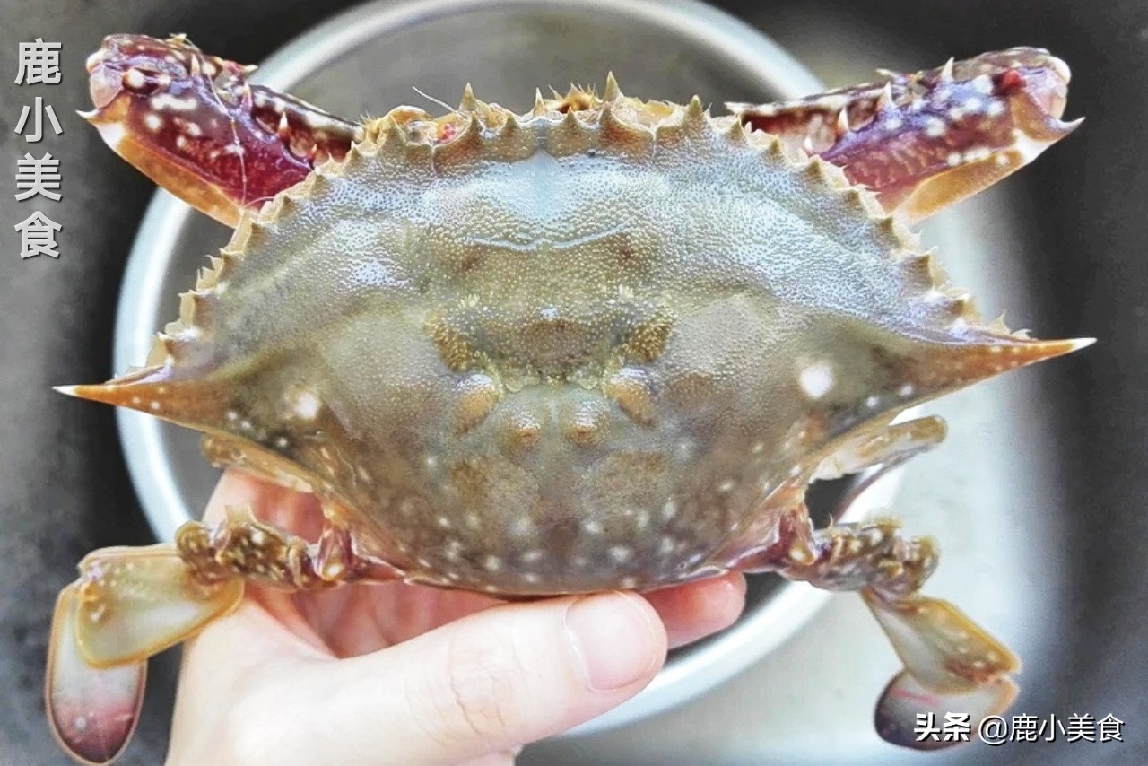 梭子蟹不肥怎么办,梭子蟹不挑黄色的