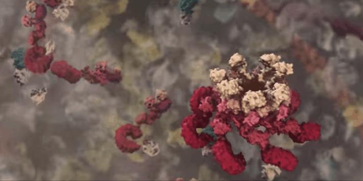 胰岛素是如何导致糖尿病的,胰岛素增多为什么会导致糖尿病