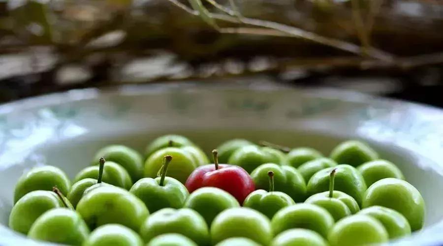 钟丽缇、叶一茜都在用,养好子宫,40岁的年纪20岁的脸