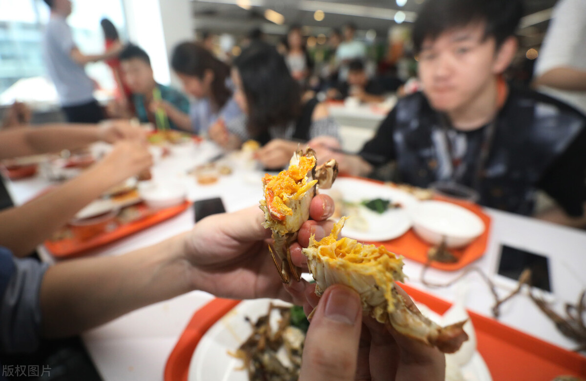 阿里淘菜菜在哪,阿里淘菜菜