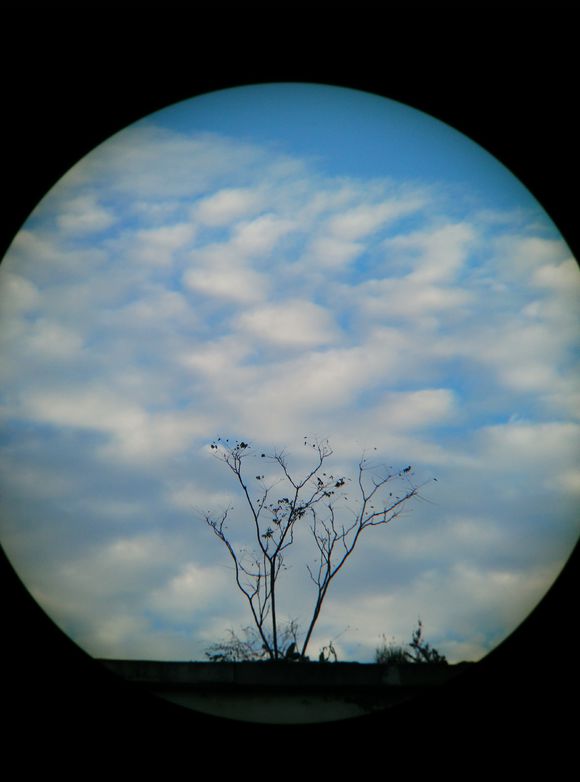 宾得1036望远镜怎么样,宾得ad1036wp好吗