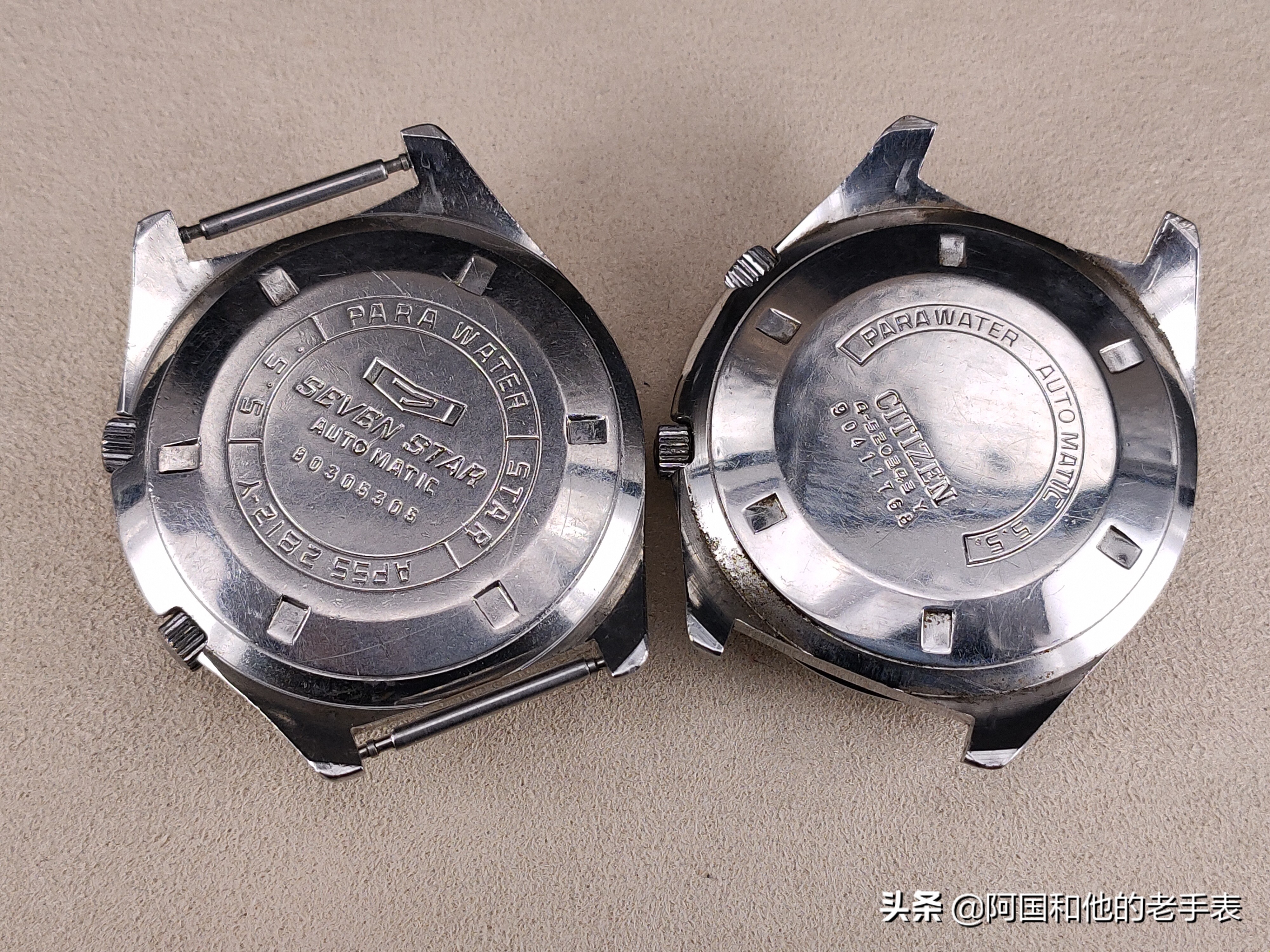 50年后的相见两只西铁城水鬼