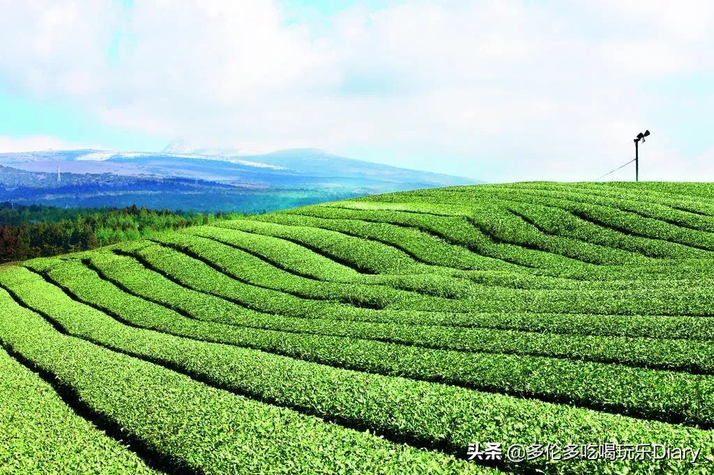 innisfree套装多少钱一套,innisfree有什么值得买的