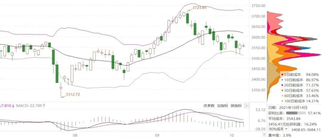 持续寻找优质公司in