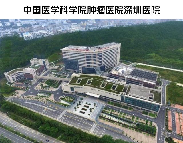 肿瘤国家队南下深圳,“2年走了别人10年的路”