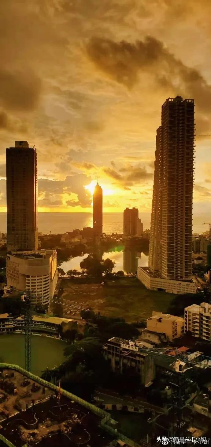 疫情下的异国日记,海外疫情中的生活