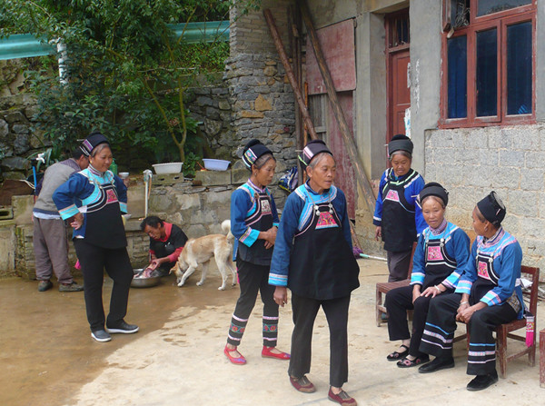 「旅途随笔」贵州安顺,蜂糖山下“银伞”苗