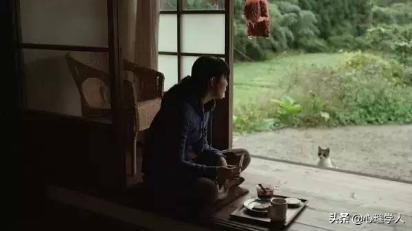 桥本爱在小森林是素颜吗,桥本爱小森林主题曲完整版