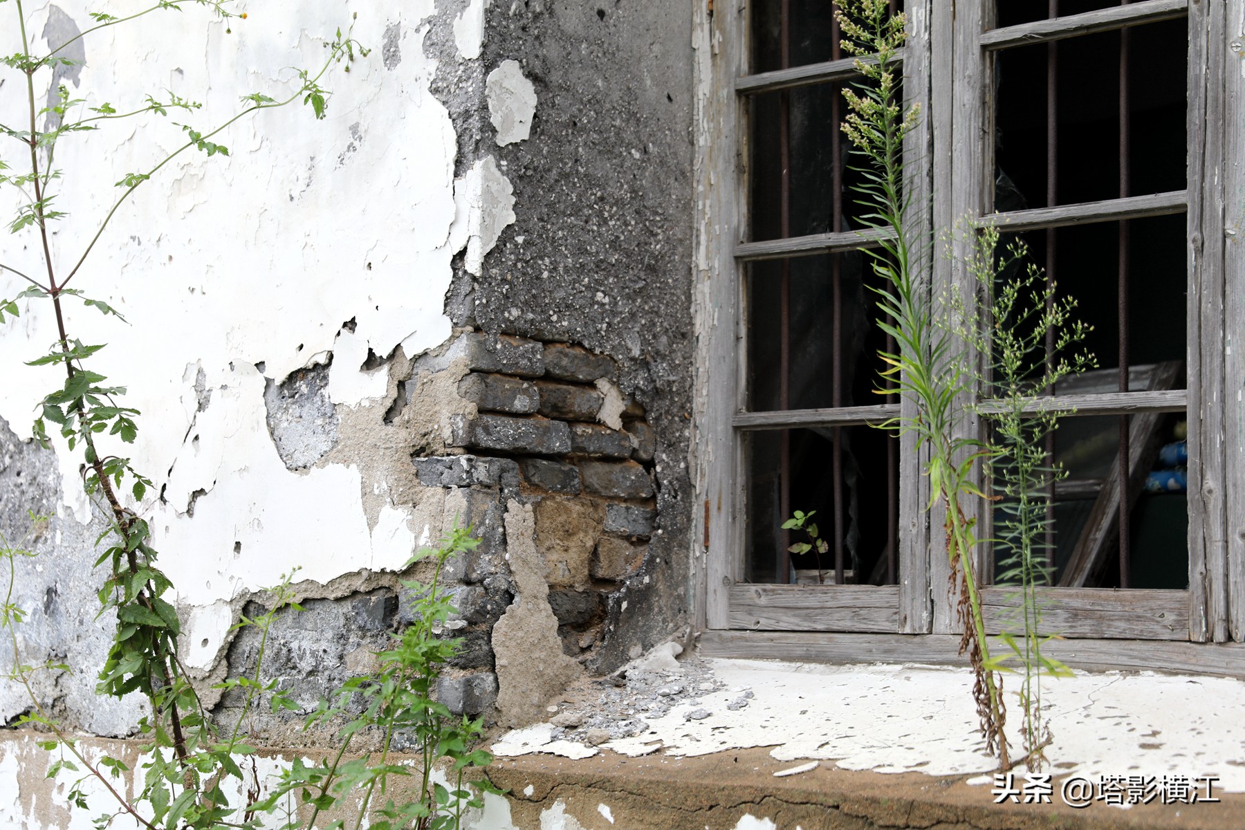 月是故乡明向我们展现了什么,月是故乡明游子思完整版