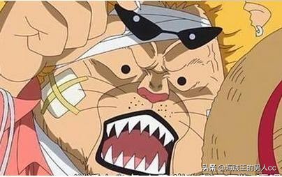 海贼王中的所有自然系恶魔果实,海贼王已经出现的动物系恶魔果实