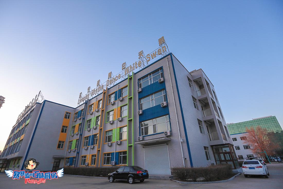 沈阳诸多宝妈推荐!大神级少儿舞蹈学校让你的宝贝秒变小舞蹈家