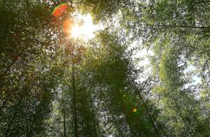 盐城城市规划全景,中国南方城市盐城