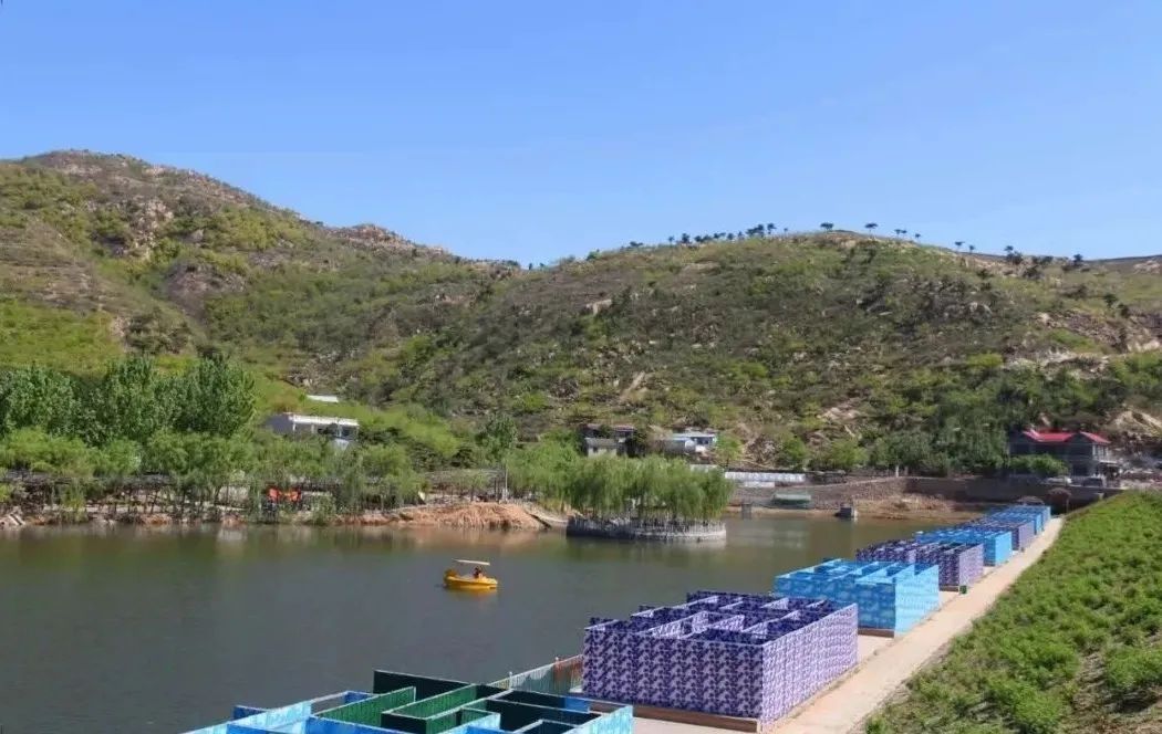 济南适合遛娃的免费去处,春节遛娃好去处济南