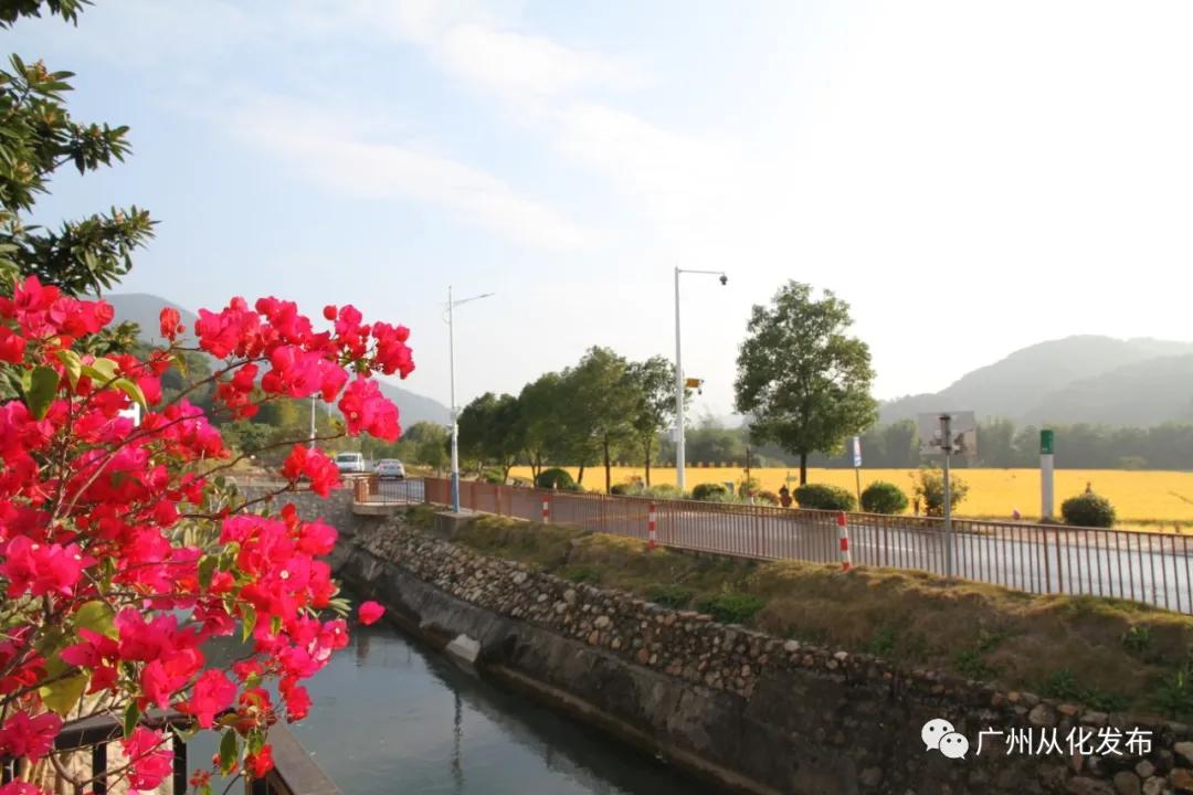 这么美的地方你真的去过吗,这么美的地方简直是人间仙境