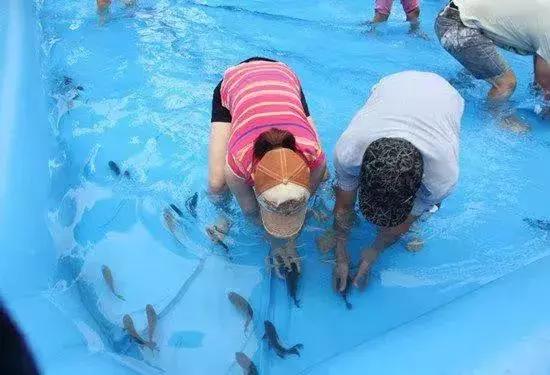 石狮今天的新消息,今日的石狮市