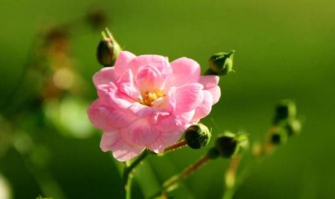 如果你爱上了一个有家庭的男人,要学会如此做