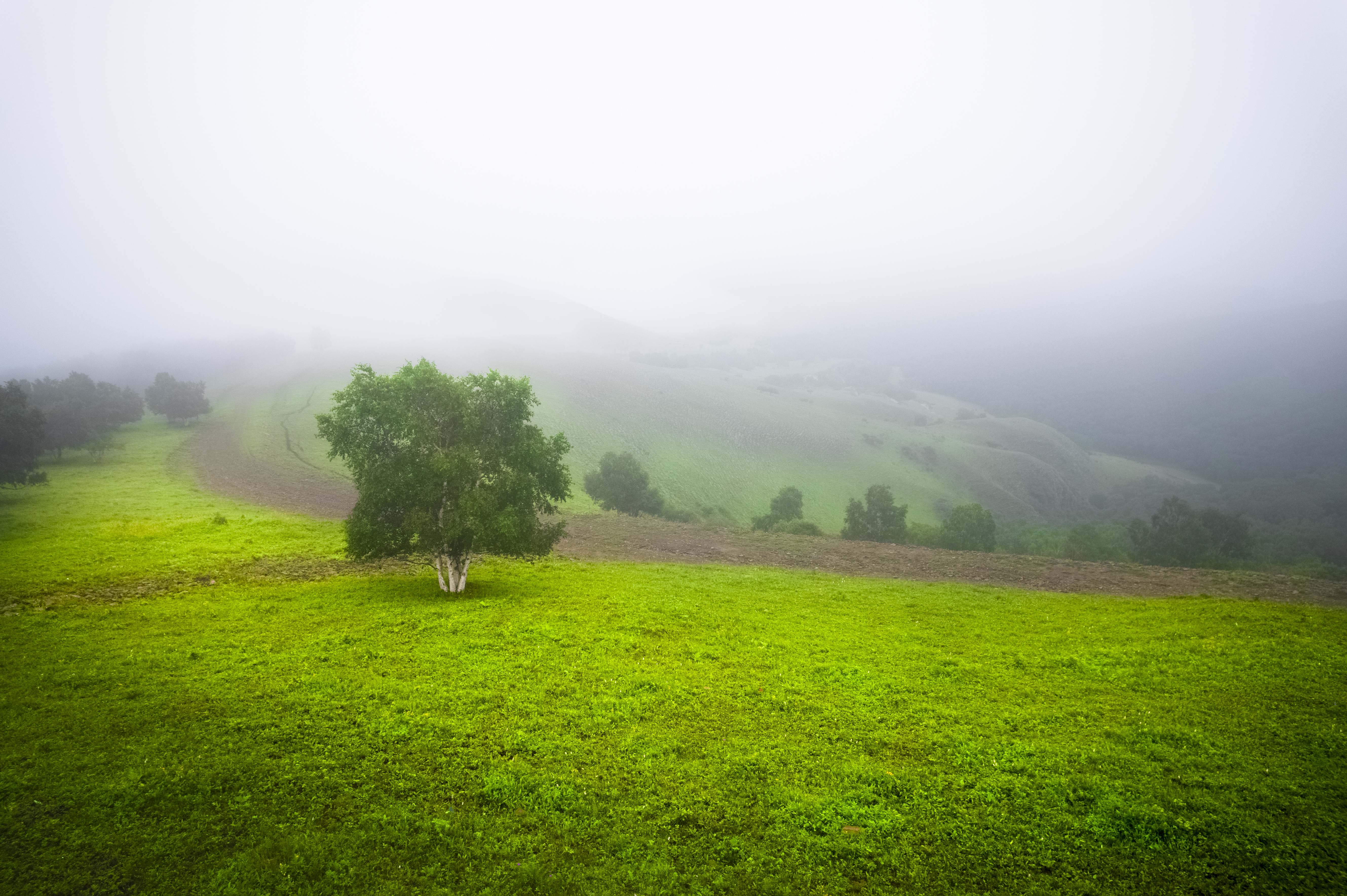 北京草原7天旅游攻略大全,距离北京最近的草原自驾游攻略