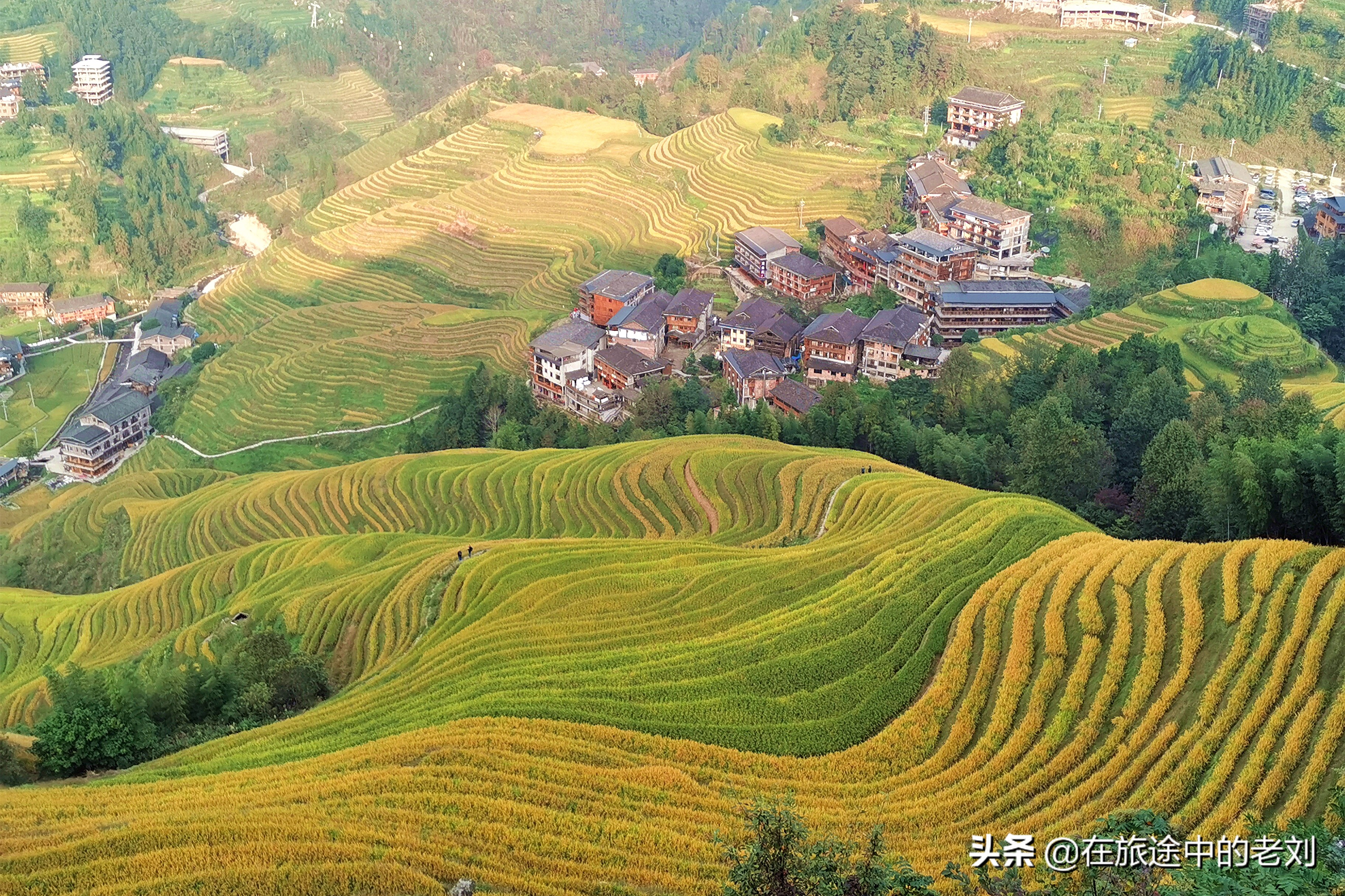远赴龙脊大寨梯田,追逐今年最后的金黄——桂林七天游1