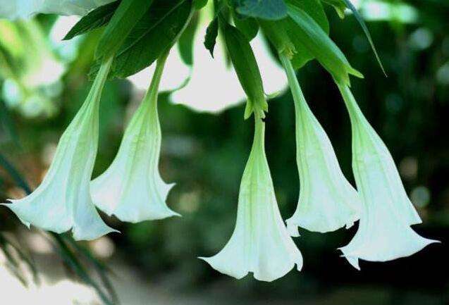 慢阻肺患者临床护理,慢阻肺患者如何进行居家护理