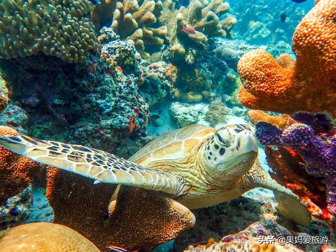 这8个国家格调高消费低,攒点小钱,带上白本说走就走