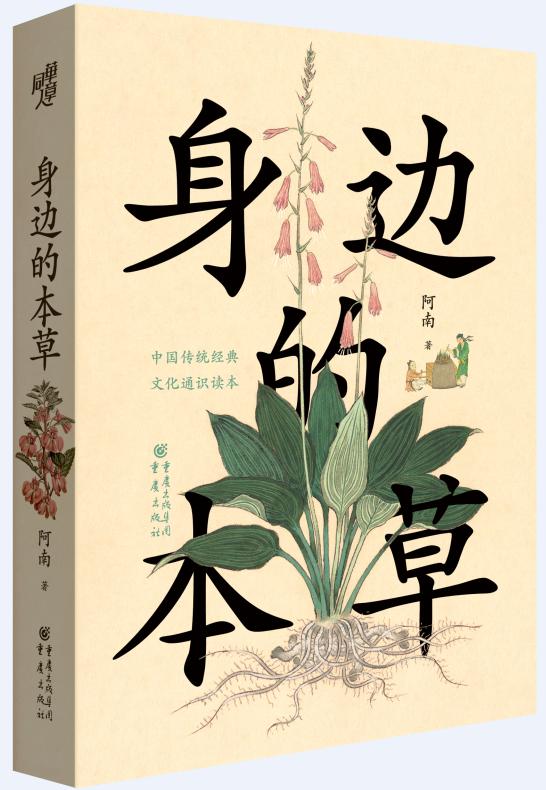 姜、黄连、丁香、玉簪、芍药、天门冬、紫花地丁……26种本草的前世今生