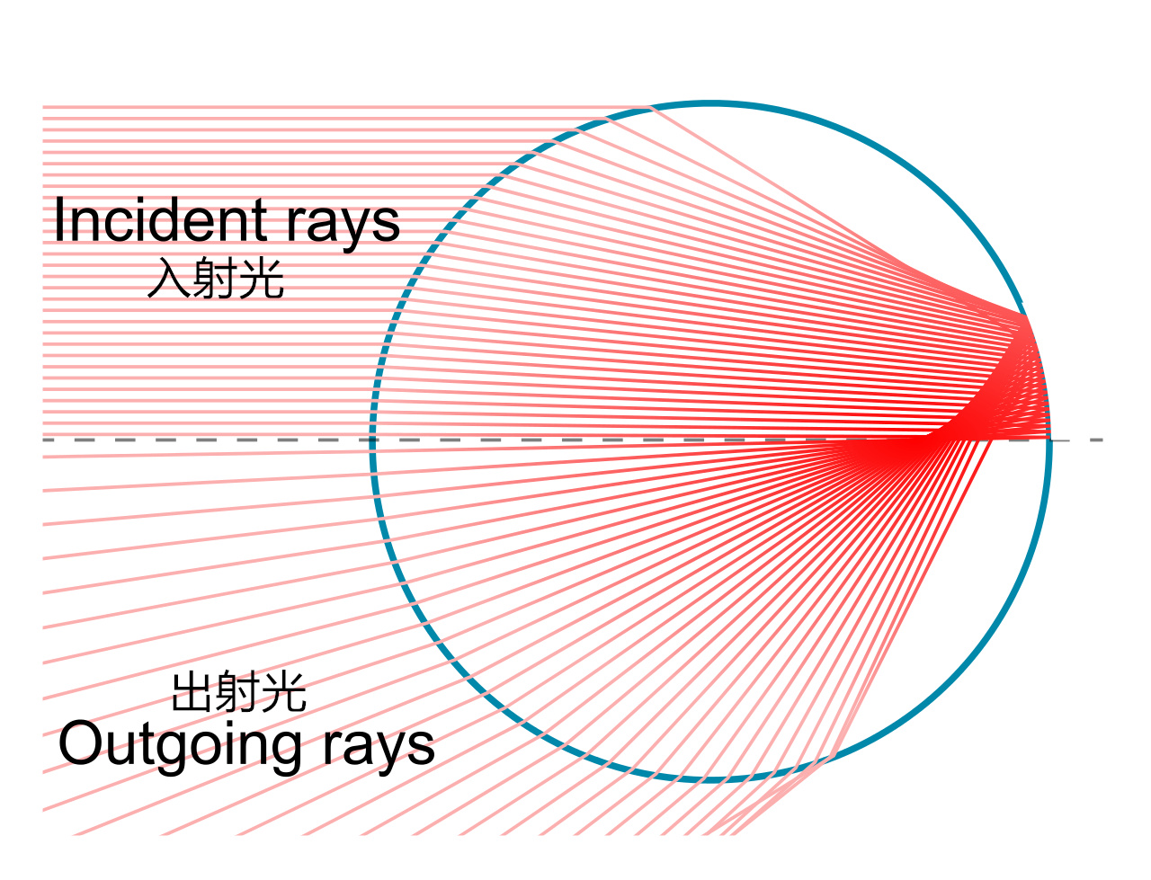 拒绝光污染拥有光污染,光污染怎样消除