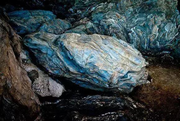 海南渔民整理的海鲜大全,渔民海鲜介绍