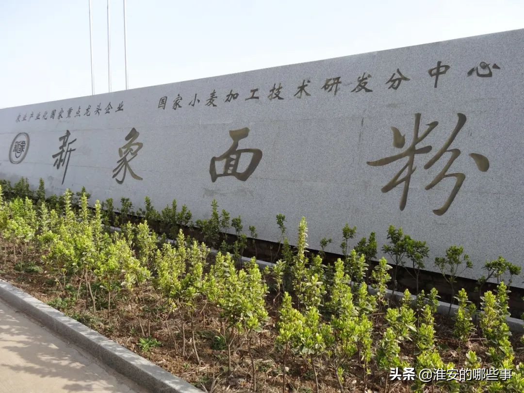 清江的历史,面粉厂概况介绍