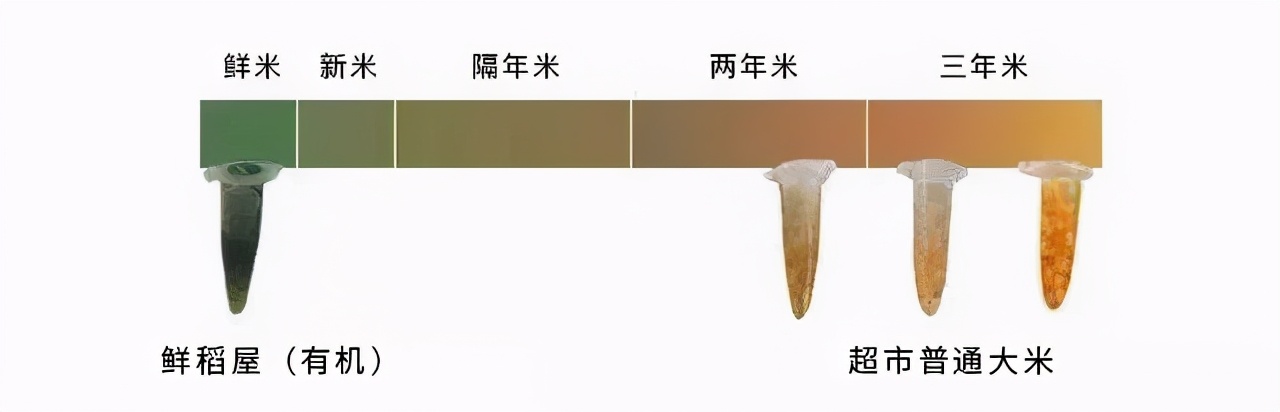 他远离污染，耗时6年扎根纯净沙漠种大米，值得吗？