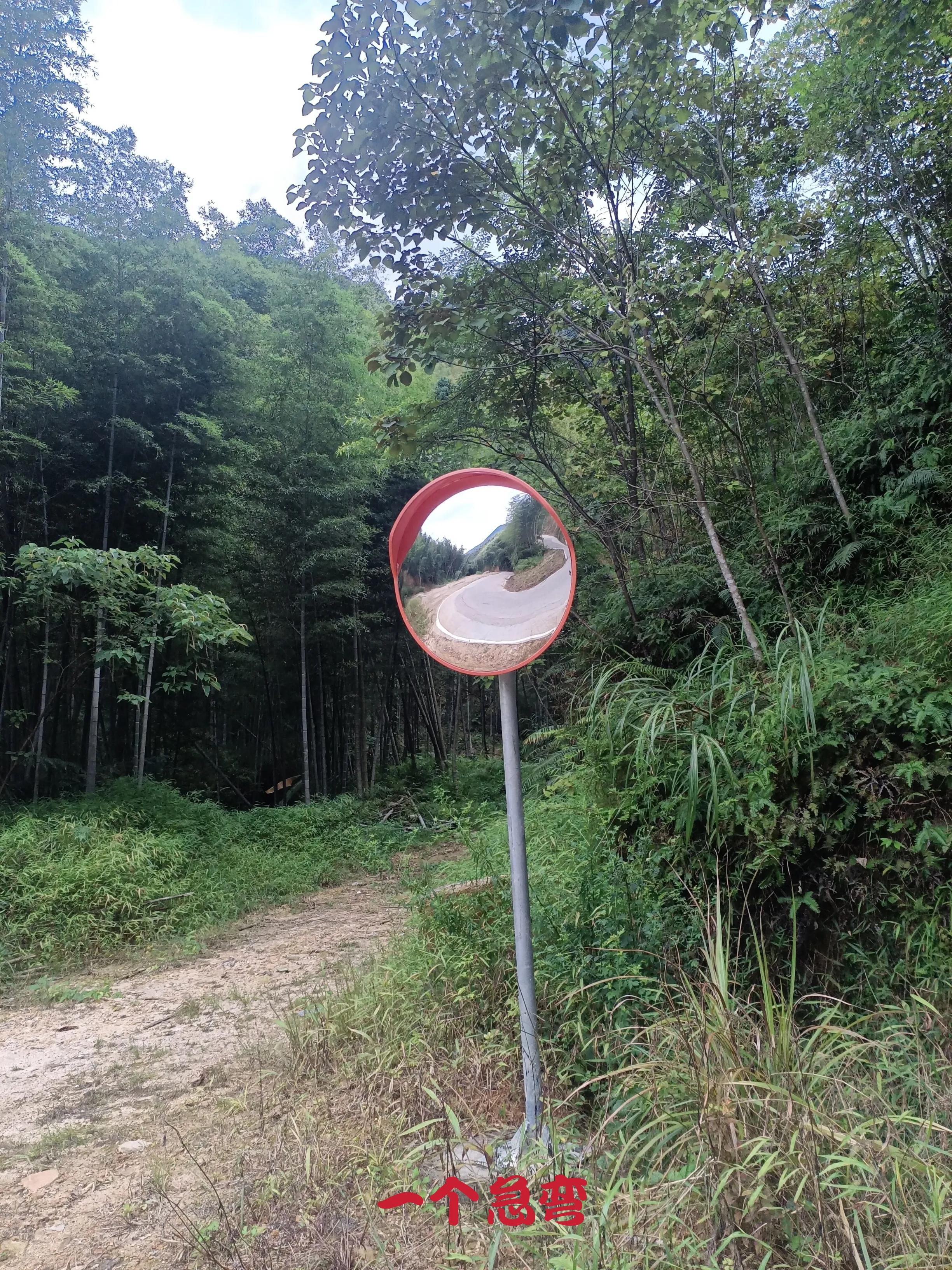 乘公交去乡下:广州海拔最高的村落-阿婆六村