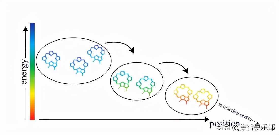 生命的边缘量子生物学时代的到来,量子生物学的研究意义