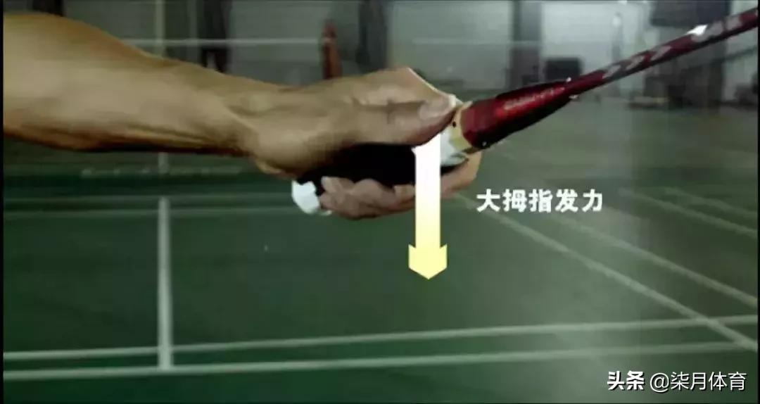 专家教你打羽毛球,专家教你运动你偏听不见