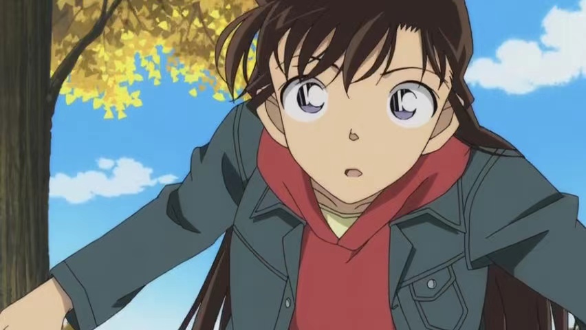 毛利兰穿短裙子,柯南看灰原哀穿毛线衣