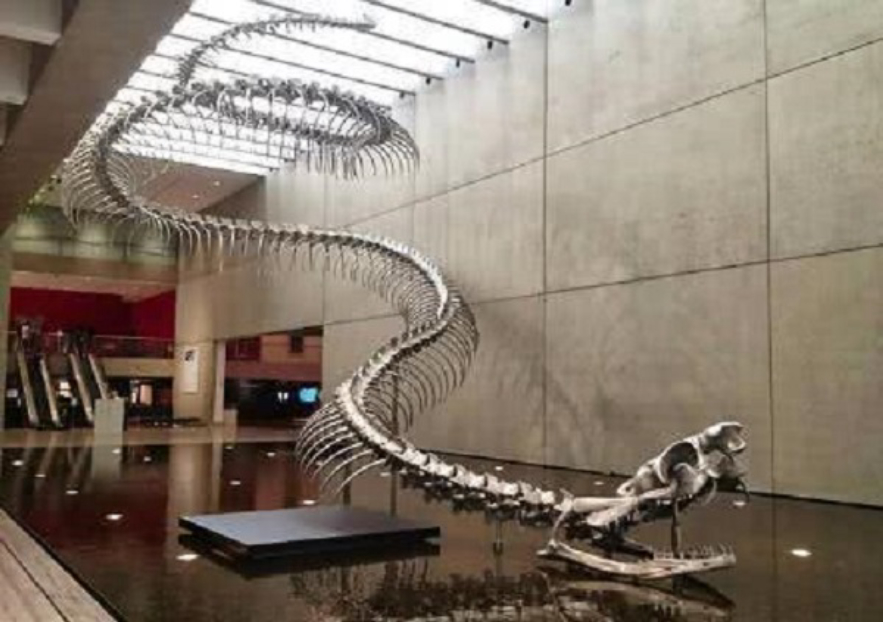 地球诞生时表面温度5000度,地球在10000亿年前发生了什么