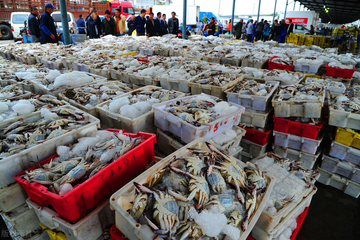 海鲜摊主“阅鱼”无数，但一次鱼刺扎伤让他“*工罢**”大半年