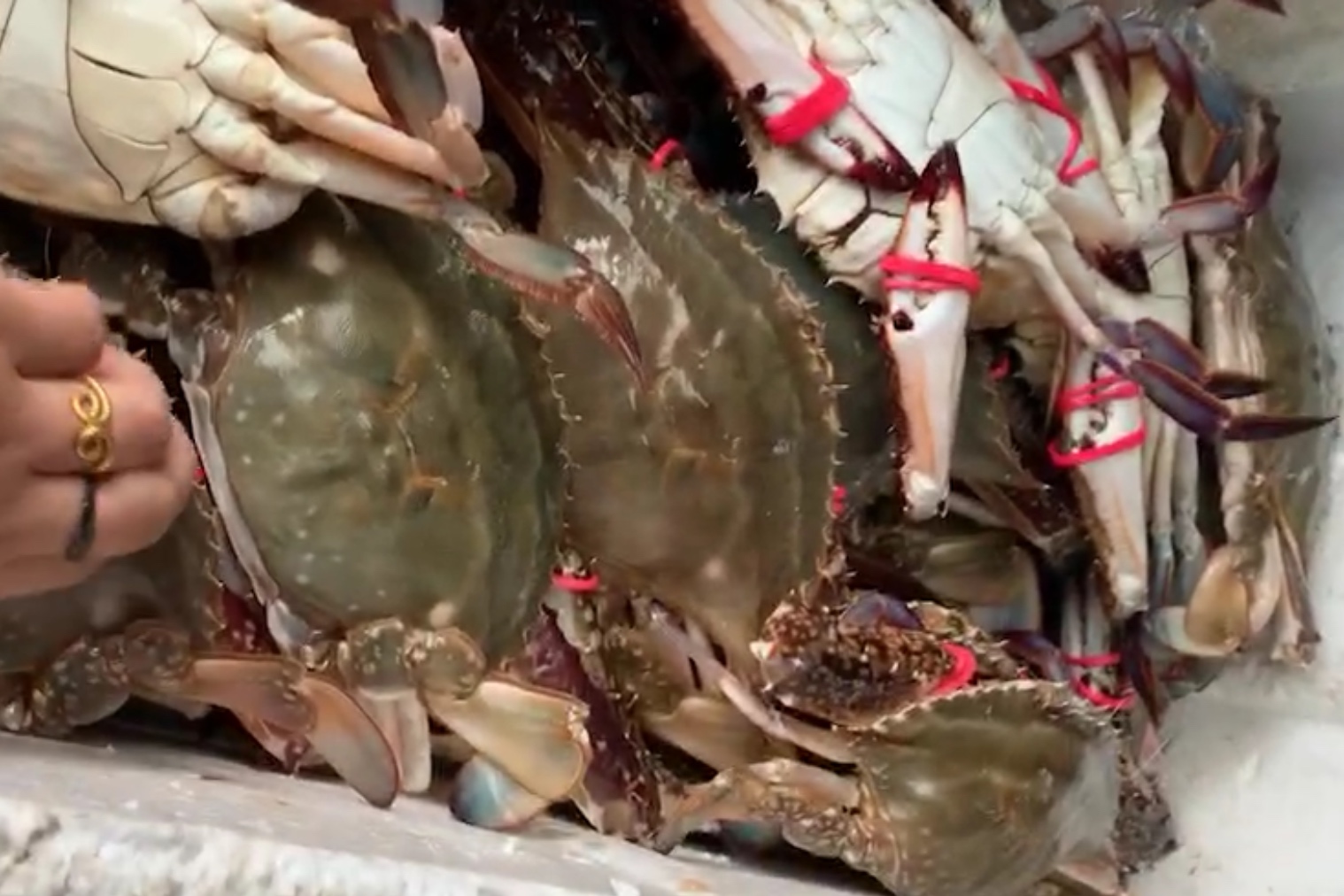 鱼吃不完怎么才能保鲜,鱼虾蟹过顿还可以吃么