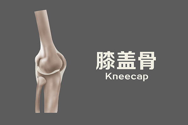 走路时膝盖后面咯噔响是怎么回事,走路下蹲时膝盖咯吱响