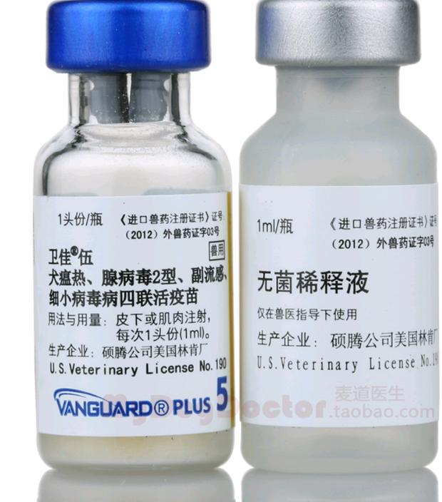 如何给猫打针教程,怎么给猫打针最简单