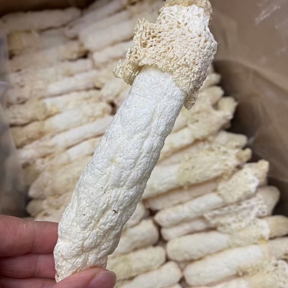 竹荪哪里产地最好,最好的竹荪产地在哪里