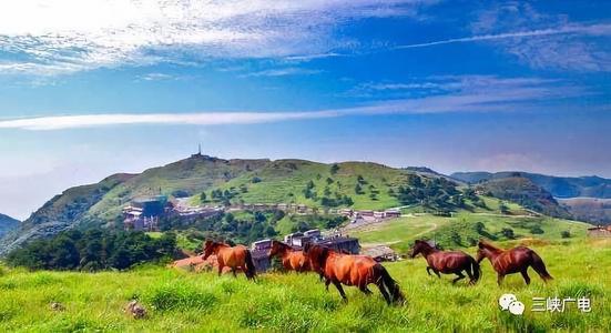 张艺谋的山楂树之恋完整版,张艺谋的山楂树之恋