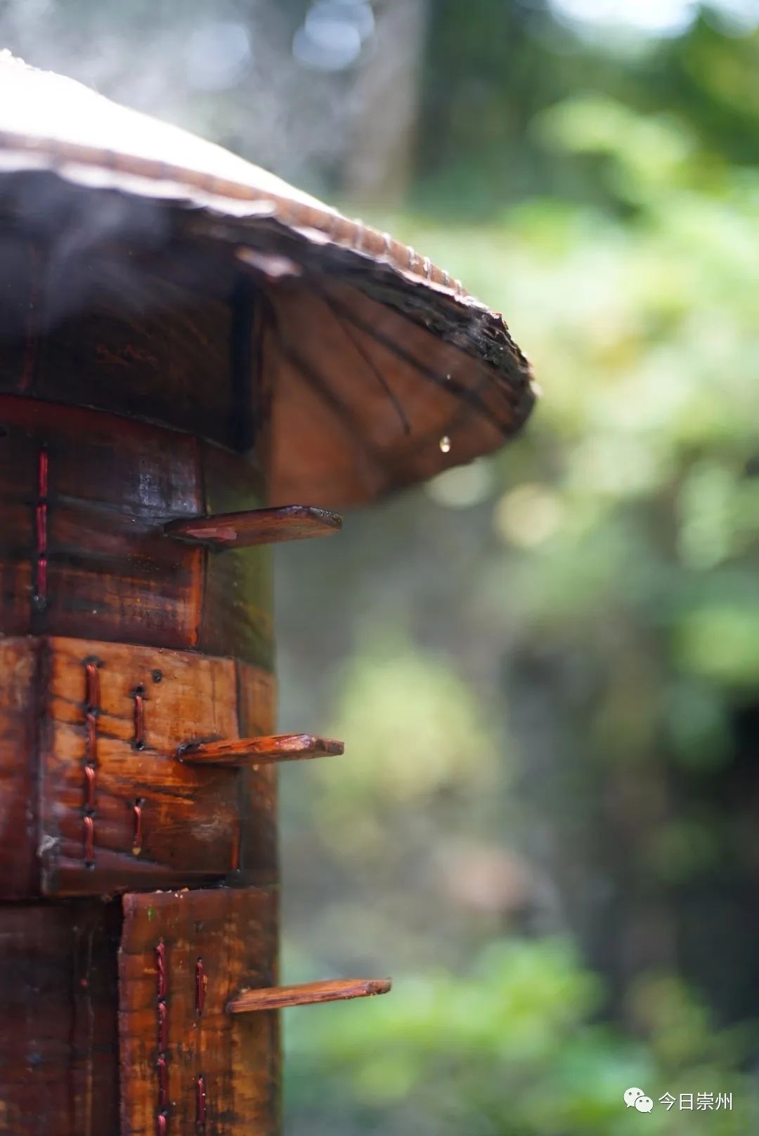 四川崇州怀远镇网红小吃粉蒸肉,崇州美食粉蒸肉