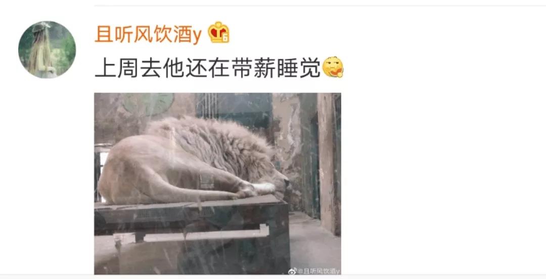 黄鼠狼在超市偷东西,黄鼠狼超市偷火腿肠