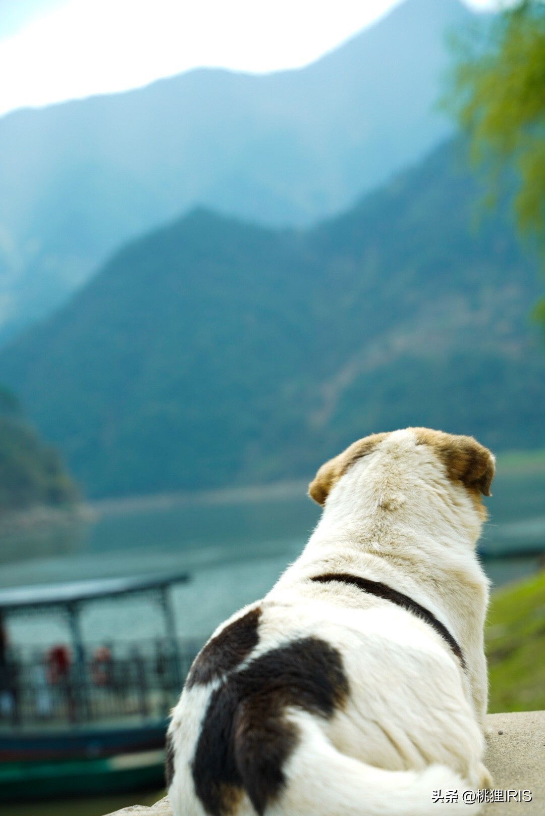 歙县特产卖什么比较好,安徽歙县哪里卖土特产
