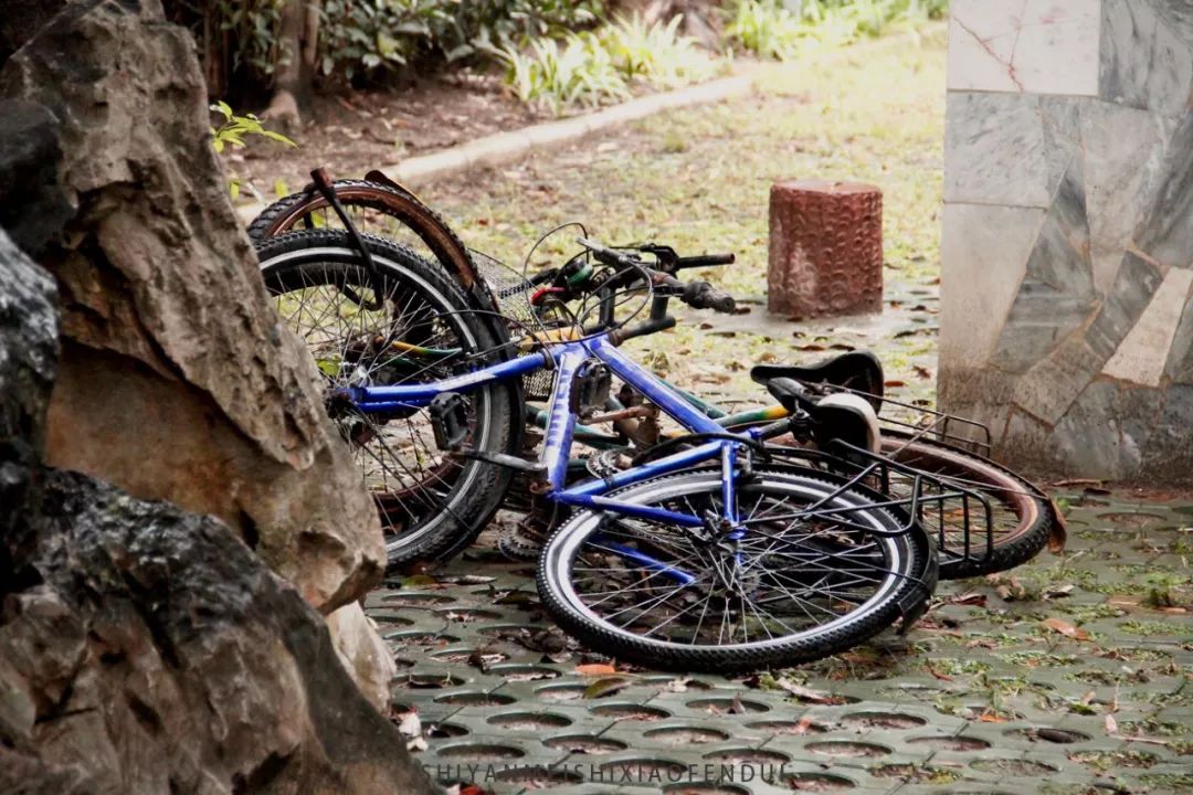 被生活打磨过的岁月,被生活捶打了50年才明白的道理