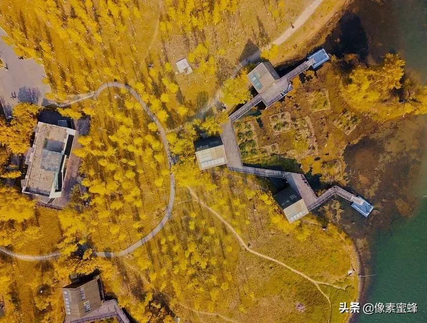 手机拍照新玩法,手机拍照可以有什么功能