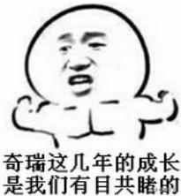 车系还能有历史？第十九话：奇瑞瑞虎（国货当自强）