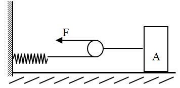 11+1怎么学,11岁的小学生怎么学功夫